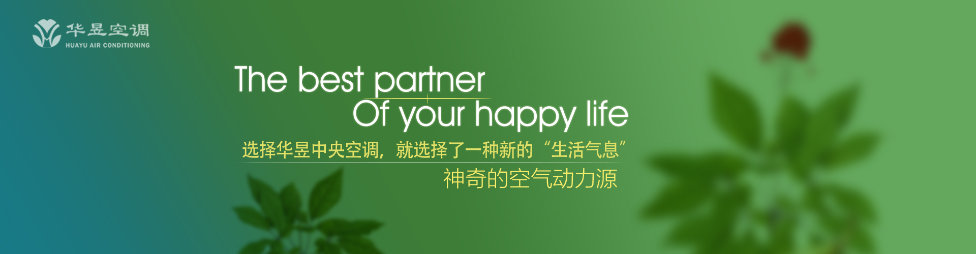 苍黄翻复网